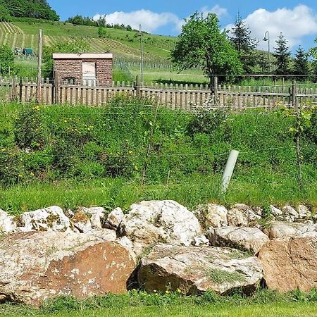 Huettenflair-Mosel Ferienwohnung Енкирх Екстериор снимка