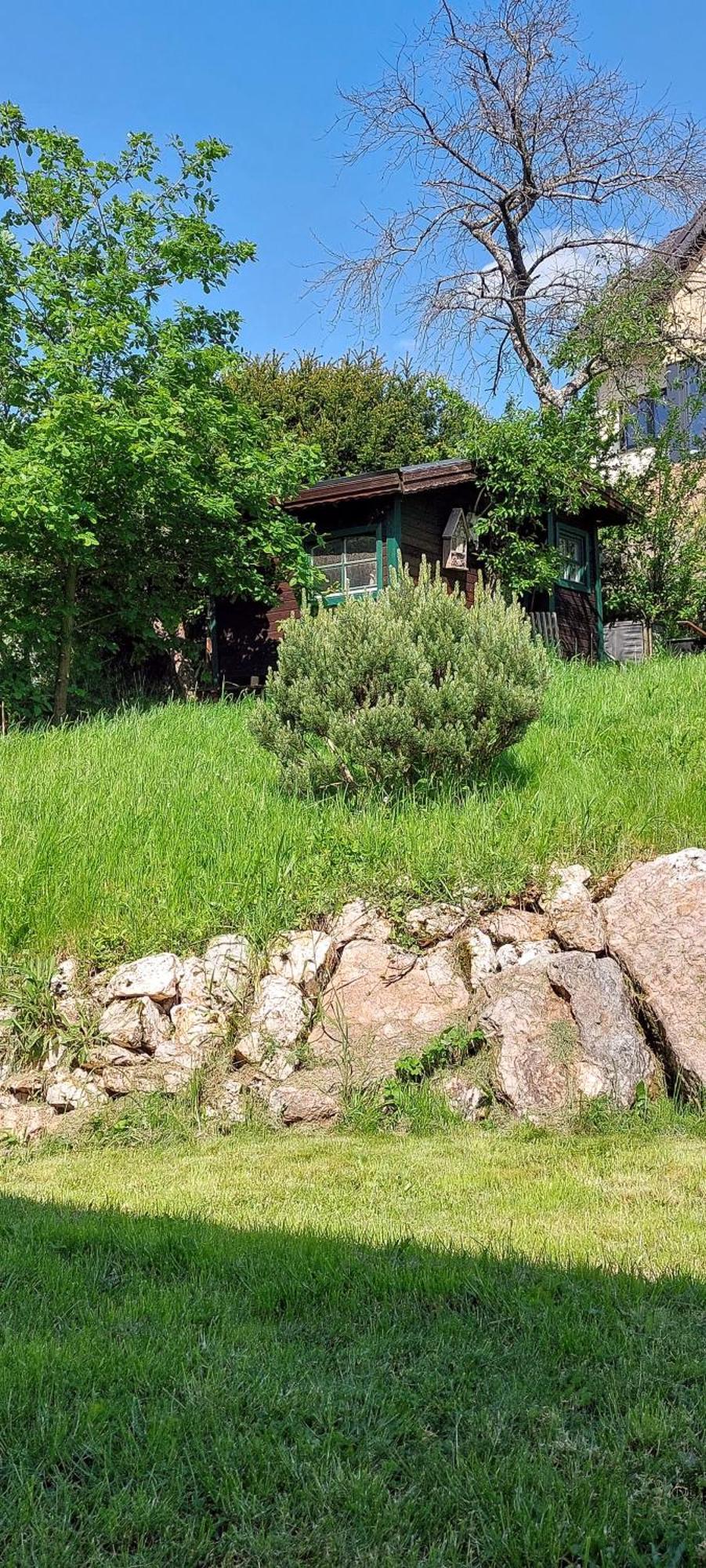 Huettenflair-Mosel Ferienwohnung Енкирх Екстериор снимка