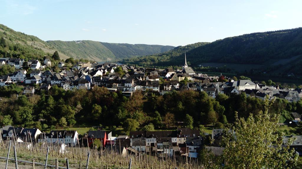 Huettenflair-Mosel Ferienwohnung Енкирх Екстериор снимка